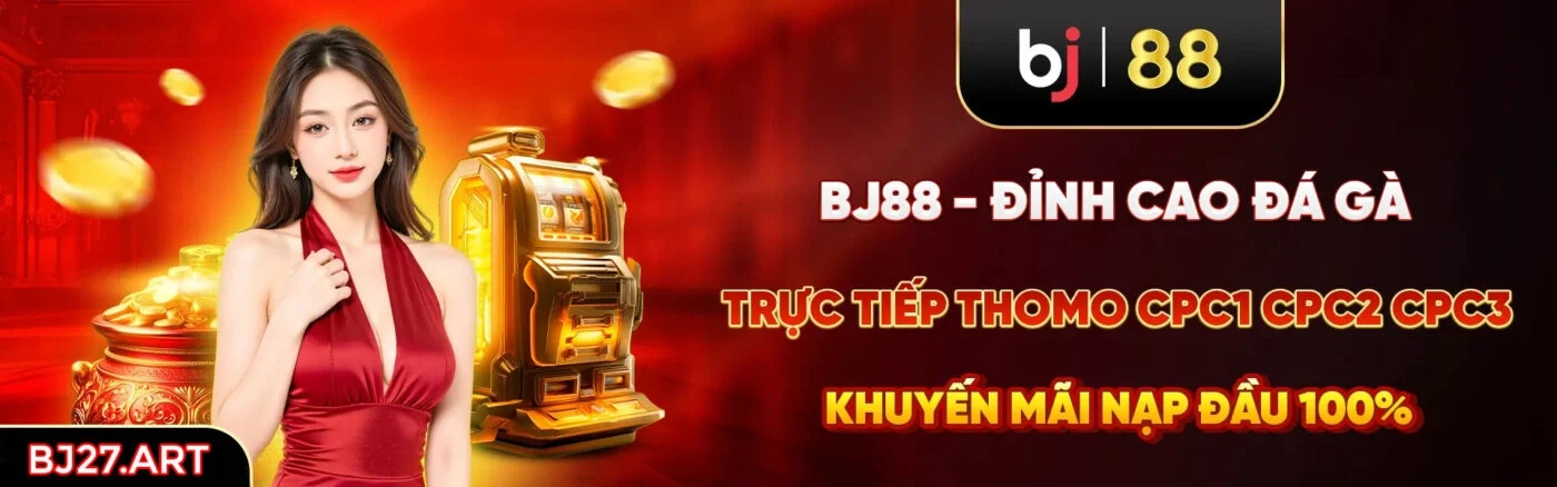 Banner BJ27